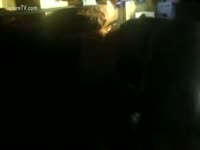 [ Zoophilia Porn ] Dog is fucking human